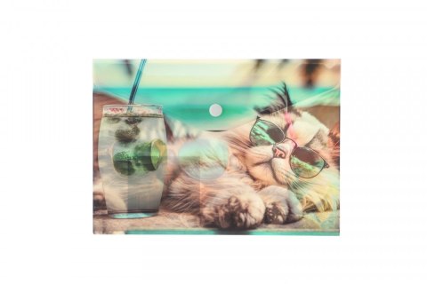 Teczka plastikowa na guzik CHILLOUT Cat A5 mix Panta Plast (0410-0069-54) Panta Plast