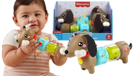 Zabawka edukacyjna jamnik aktywizujący Fisher Price (HTW91) Fisher Price