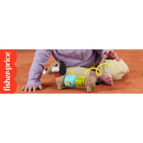 Zabawka edukacyjna jamnik aktywizujący Fisher Price (HTW91) Fisher Price