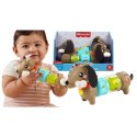 Zabawka edukacyjna jamnik aktywizujący Fisher Price (HTW91) Fisher Price