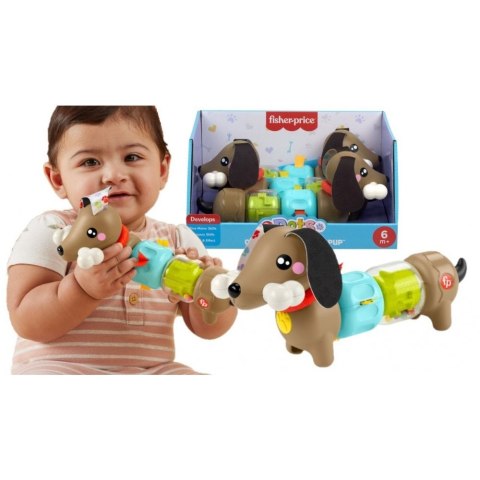 Zabawka edukacyjna jamnik aktywizujący Fisher Price (HTW91) Fisher Price