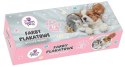 Farby plakatowe The Sweet Pets kolor: mix 20ml 12 kolor. Beniamin (2266) Beniamin