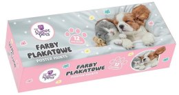 Farby plakatowe The Sweet Pets kolor: mix 20ml 12 kolor. Beniamin (2266) Beniamin