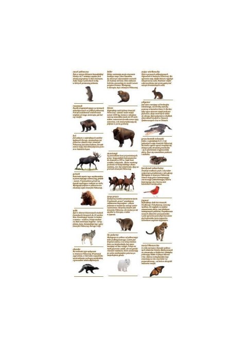 Mapa ścienna Mapy z naklejkami. Zwierzęta świata Demart Demart