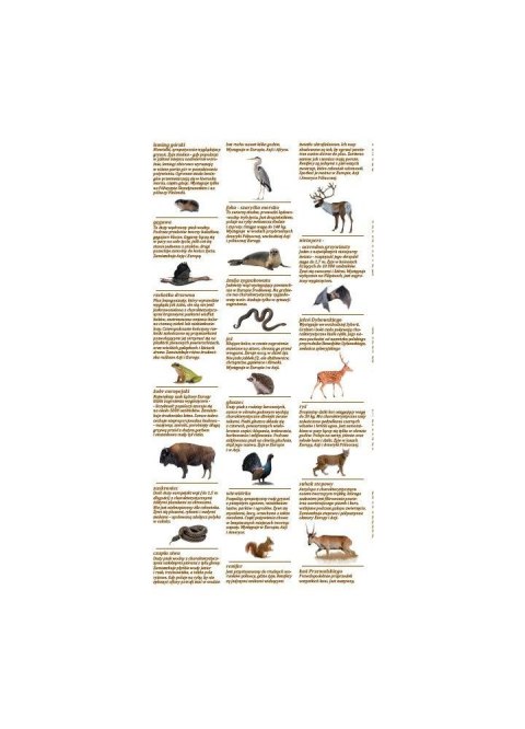 Mapa ścienna Mapy z naklejkami. Zwierzęta świata Demart Demart