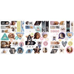 Naklejka na zeszyt THE SWEET PETS 9457 Beniamin Beniamin