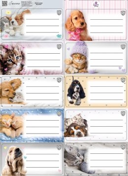 Naklejka na zeszyt The Sweet Pets kids Beniamin Beniamin