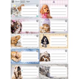 Naklejka na zeszyt The Sweet Pets kids Beniamin Beniamin