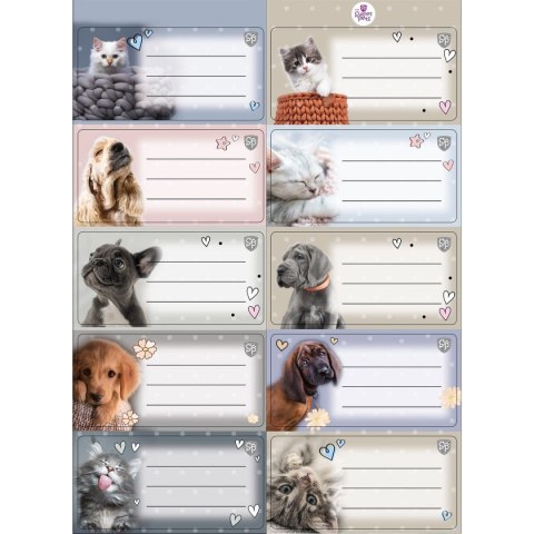 Naklejka (nalepka) Beniamin (606590) Beniamin