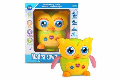 Zabawka edukacyjna mądra sowa Artyk (137792) Artyk