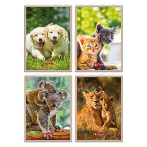 Kołozeszyt (kołonotatnik) Animals 9554437 A7 40k. krata Herlitz (400198703) Herlitz
