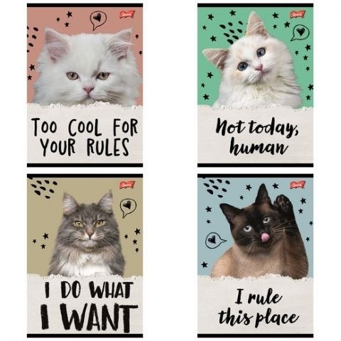 Zeszyt Caturday A5 32k. 70g krata Unipap Unipap