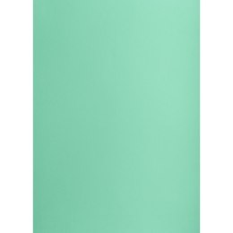 Brystol turkusowy B2 turkusowy 225g 25k [mm:] 500x700 Creatinio (400150335) Creatinio