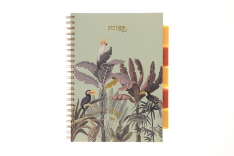 Kołozeszyt (kołonotatnik) AFRYKA pastelowy zielony A4 100k. 80g krata Strigo (PADS066) Strigo