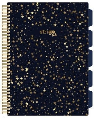 Kołozeszyt (kołonotatnik) KONSTELACJA-GWIAZDY A4 100k. 80g kratka Strigo (PADS006) Strigo