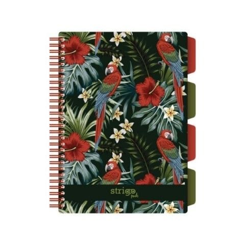 Kołozeszyt (kołonotatnik) PADS TROPIKI papuga czayny B5 100k. 80g krata Strigo (PADS063) Strigo