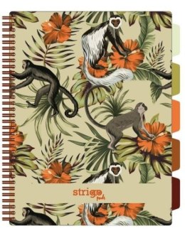 Kołozeszyt (kołonotatnik) Tropiki -małapki BEŻOWY A4 100k. 80g krata Strigo (PADS062) Strigo