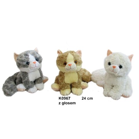 Pluszak kot [mm:] 250 Sun-Day (K0967) Sun-Day