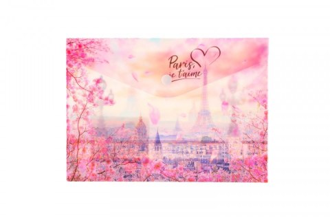 Teczka plastikowa na guzik FRIENDSHIP A5 mix Panta Plast (0410-0069-56) Panta Plast