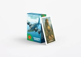 Karty Piotruś Brainrot Bombardiro Crocodillo Alexander 25 sztuk Alexander