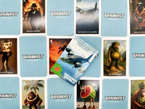 Karty Piotruś Brainrot Bombardiro Crocodillo Alexander 25 sztuk Alexander