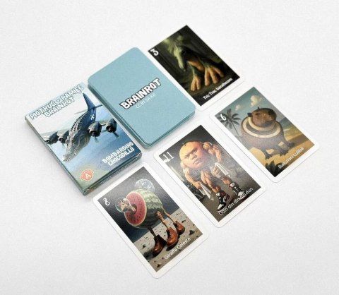 Karty Piotruś Brainrot Bombardiro Crocodillo Alexander 25 sztuk Alexander