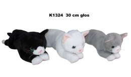 Pluszak kot 3 kolory z głosem [mm:] 300 Sun-Day (170767) Sun-Day