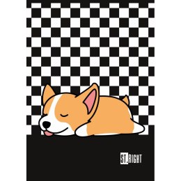 Zeszyt St.Right A4 32k. krata Unipap Unipap