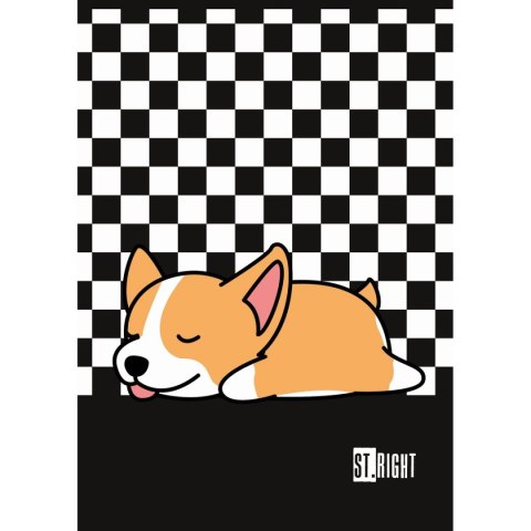 Zeszyt St.Right A4 32k. krata Unipap Unipap