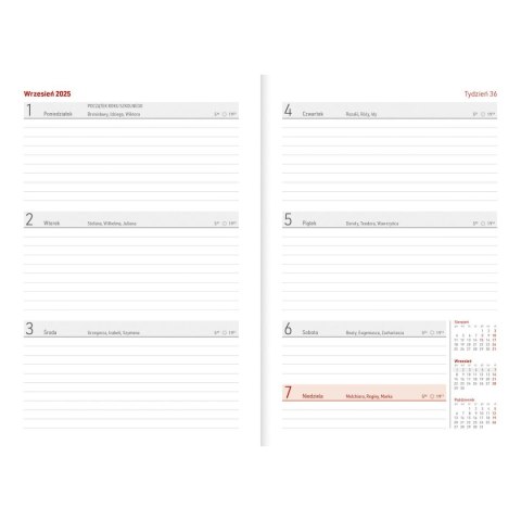 Kalendarz nauczyciela książkowy (terminarz) PCV KOTY bezbarwny A5 Wydawnictwo Wokół Nas (A5TN078B) Wydawnictwo Wokół Nas