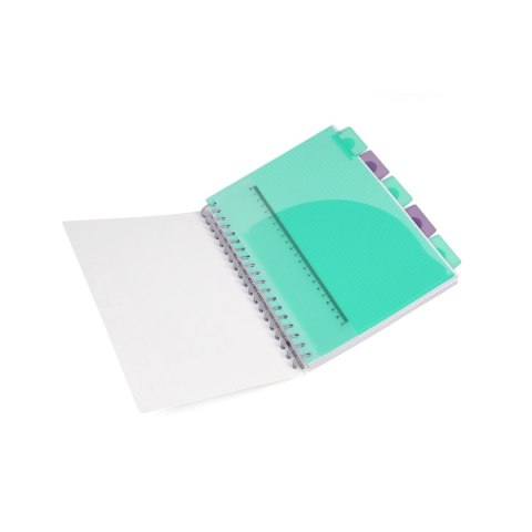 Kołobrulion Disney B5 100k. 80g krata Patio (74975PTR) Patio