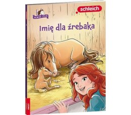 Książeczka edukacyjna HORSE CLUB. Imię dla źrebaka Ameet (LNR 8401) Ameet