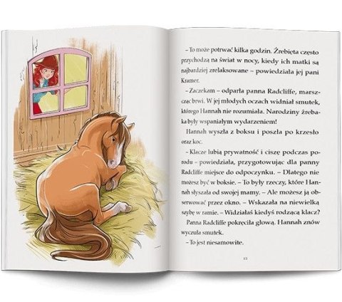 Książeczka edukacyjna HORSE CLUB. Imię dla źrebaka Ameet (LNR 8401) Ameet