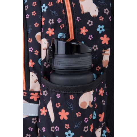 Plecak BASE PLUS capibara Coolpack Patio (F029937) Patio