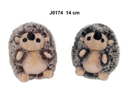 Pluszak jeż 2 kolory [mm:] 140 Sun-Day (170927) Sun-Day