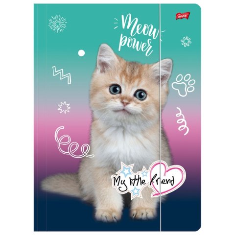 Teczka kartonowa na gumkę My Little Friend A4 mix 300g Unipap Unipap