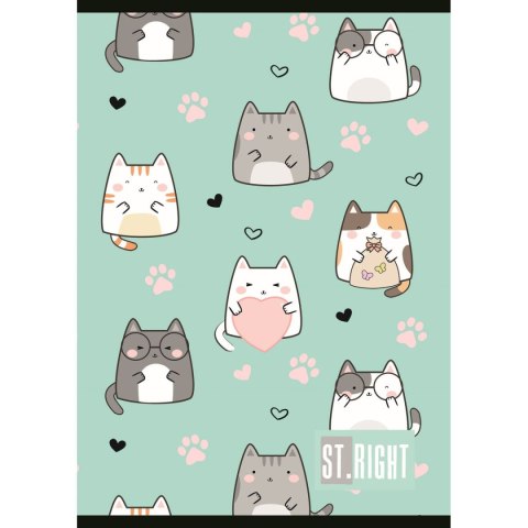 Zeszyt St.Right A4 32k. linia Unipap Unipap