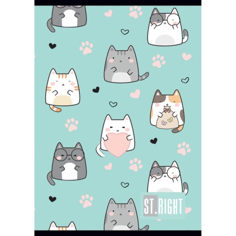 Zeszyt St.Right A4 32k. linia Unipap Unipap