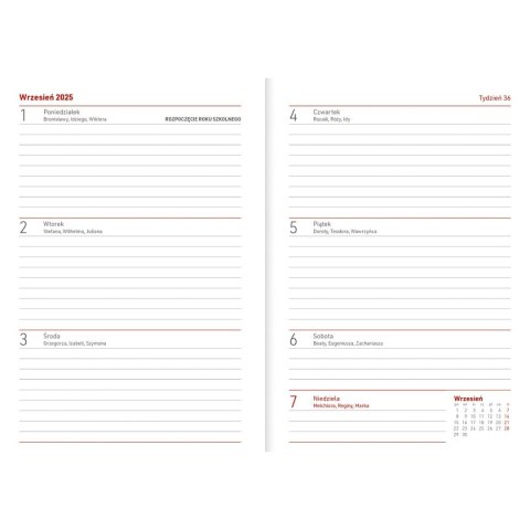 Kalendarz nauczyciela książkowy (terminarz) PCV ROWER bezbarwny B6 Wydawnictwo Wokół Nas (A5TN089B) Wydawnictwo Wokół Nas