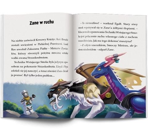 Książeczka edukacyjna LEGO® NINJAGO®. Moce i zdolności Ameet (LNR 6728) Ameet