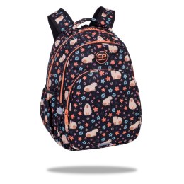 Plecak BASE PLUS CAPYBARA Coolpack Patio (F027937) Patio