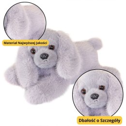 Pluszak Piesek Cocker Spaniel szary [mm:] 300 Lean (22436) Lean