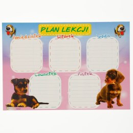 Plan lekcji Polsyr Polsyr