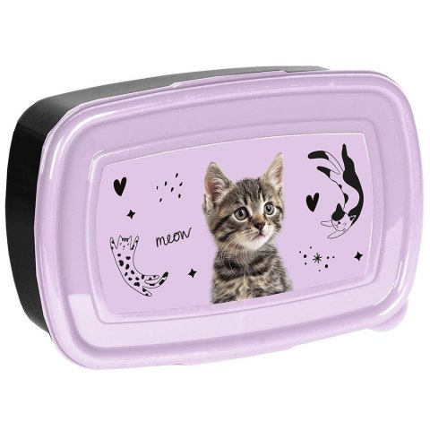 Śniadaniówka Kot Paso (PP25CE-3022) Paso