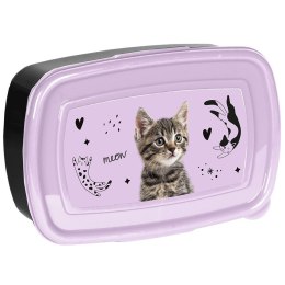 Śniadaniówka Kot Paso (PP25CE-3022) Paso