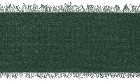 Wstążka Craft-Fun Series szyfonowa strzępiona 40x10 [mm x m] zielony butelkowy Titanum (WJ40-10-012B) Titanum