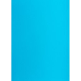 Brystol jasny A1 niebieski 160g 25k [mm:] 610x860 TOP-2000 (400149565) TOP-2000
