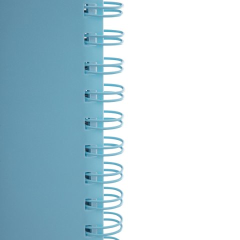 Kołozeszyt (kołonotatnik) pastel A4 200k. 80g krata Astrapap (107023003) Astrapap