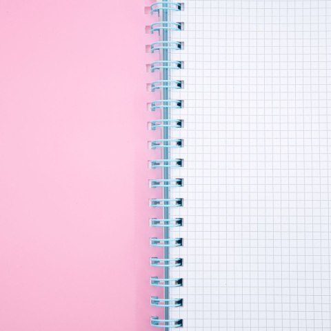 Kołozeszyt (kołonotatnik) pastel A4 200k. 80g krata Astrapap (107023003) Astrapap