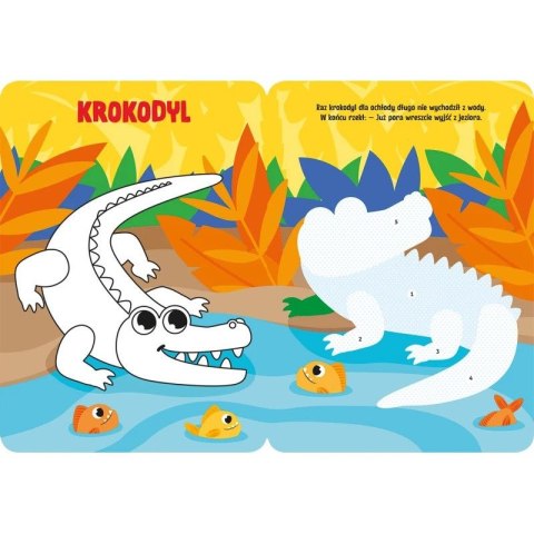 Książka dla dzieci Labirynty. Łamigłówki przedszkolaka od 5 lat Aksjomat Aksjomat